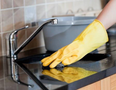 Local Westhampstead service area for pet stain and odour removal