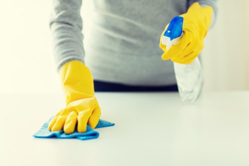 Local regular cleaning for a shared flat in Westhampstead