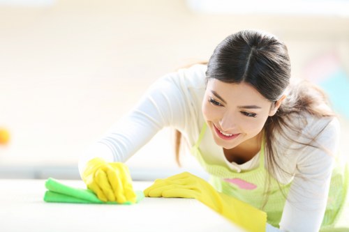 Professional domestic cleaning tools for a Westhampstead property