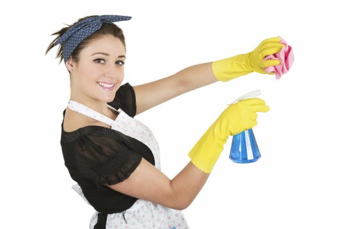 Detailed bathroom cleaning for a Westhampstead move-out property