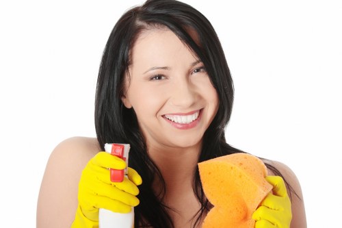 Local sofa cleaning process for a living room in Westhampstead