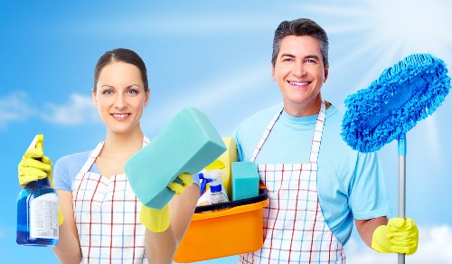 Professional pet stain and odour removal process in a local flat