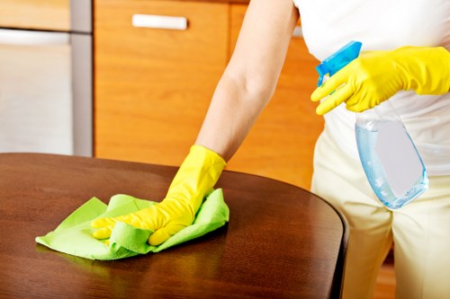 Careful stain treatment for homes and businesses in West Hampstead