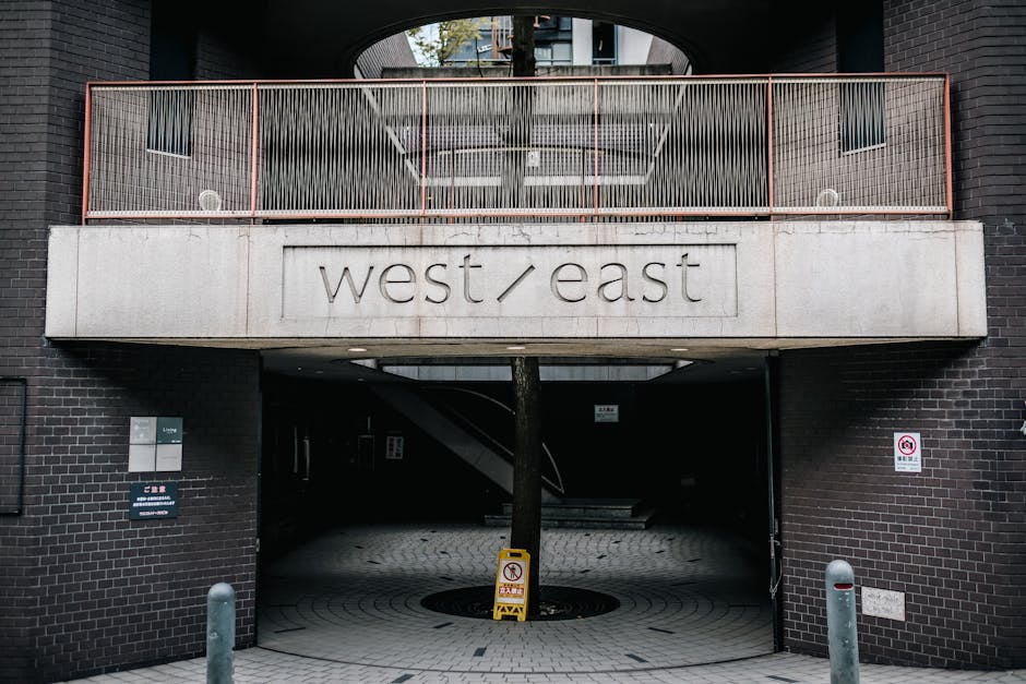 Exterior view of the West / East entrance of a modern building in West Hampstead, featuring dark brick walls and a concrete balcony with a metal railing. A tree is centrally positioned at the entrance, which is partially shaded and reveals an underground level. The area is clean and well-maintained, with no visible litter or debris. The lighting appears natural, indicating daytime. This image exemplifies the importance of surface cleaning and maintenance in commercial premises, with [COMPANY_NAME] providing professional cleaning services for residential and commercial spaces, supporting hygiene and upkeep in areas like this in West Hampstead.
