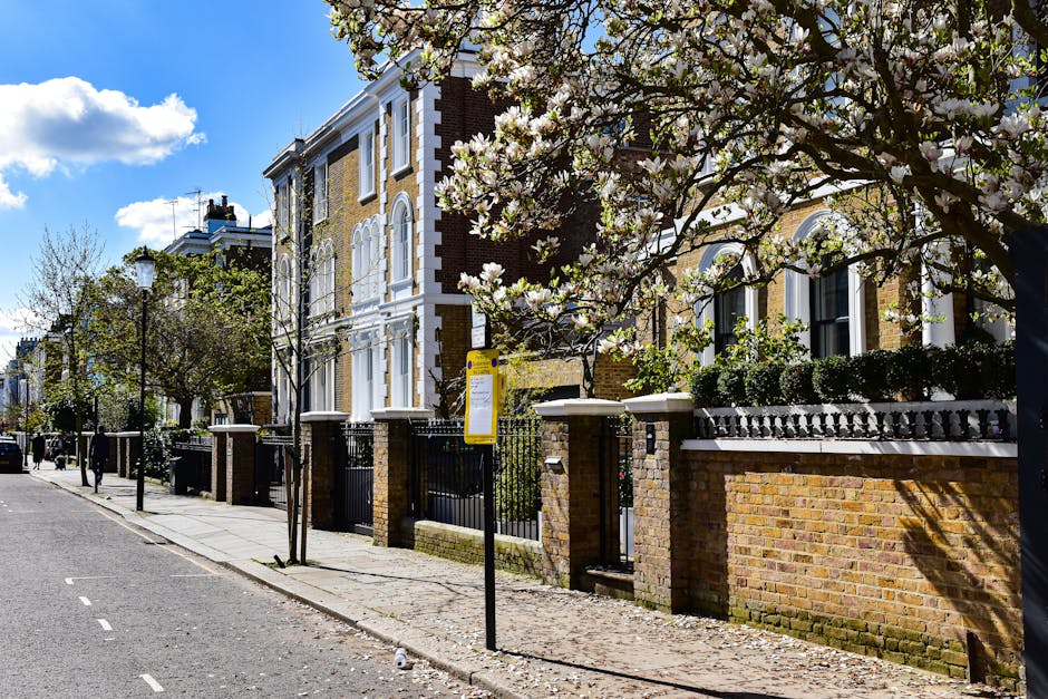 A row of elegant Victorian-style residential buildings along West End Lane in West Hampstead, featuring yellow and brown brick facades with white window trims. The street is lined with evenly spaced, leafless trees and classic black lampposts. A sidewalk with a brick and wrought-iron fence surrounds the front gardens, which contain neatly maintained plants and flowering trees with white blossoms. The sky above is clear blue with some scattered clouds, casting bright sunlight over the scene, highlighting the historic architecture and well-kept exterior surroundings. This image represents a peaceful, suburban neighborhood viewed from street level, emphasizing the picturesque and tidy environment.